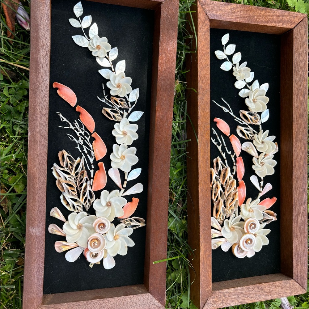 Rare Vintage Seashell Shadow Boxes ~ Wood & Black Velvet ~ Set of 2 - Picture 2 of 7